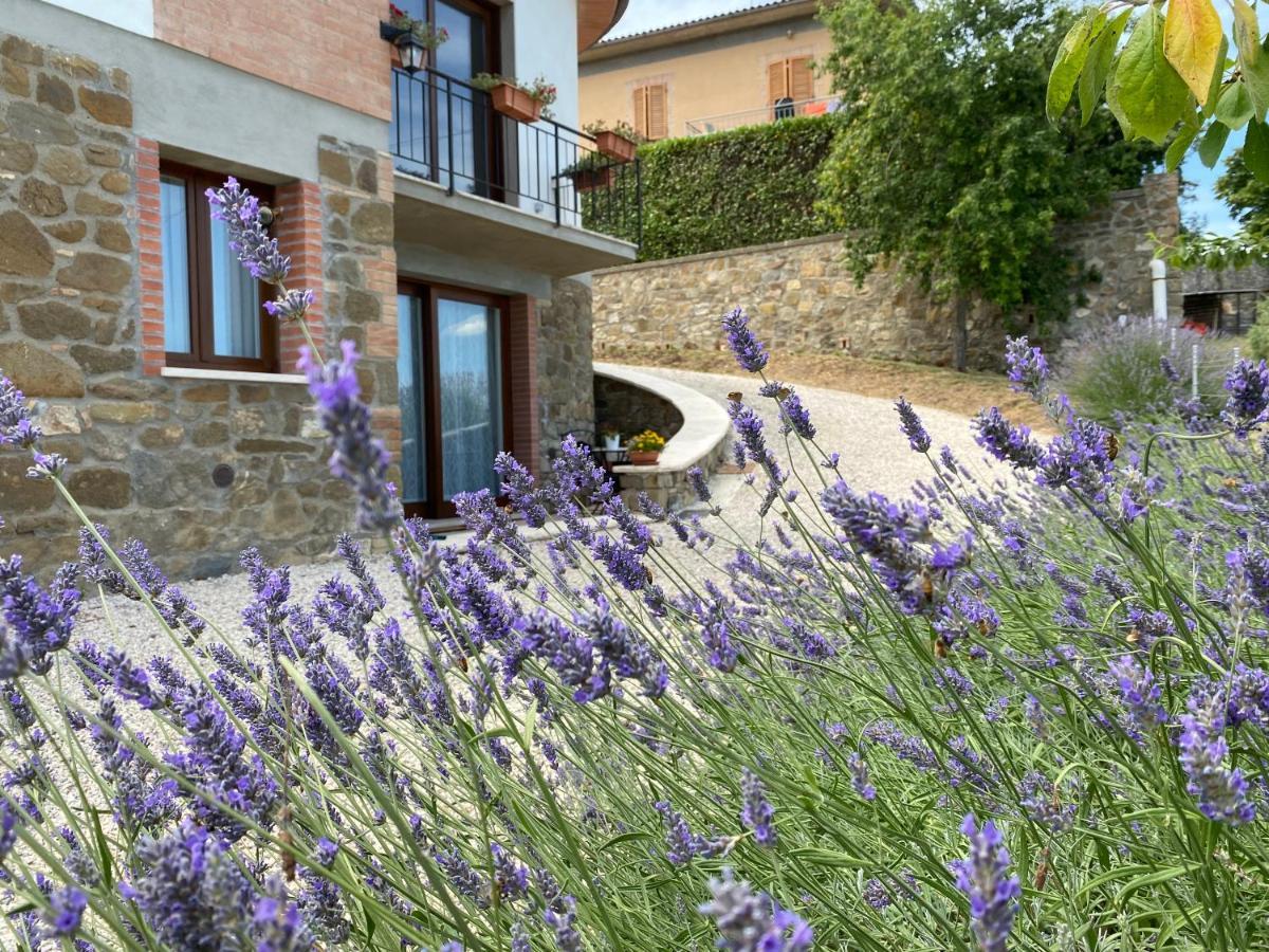Podere Belsogno มอนตาลชิโน ภายนอก รูปภาพ